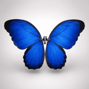 remote control flutter butterfly drone realistic flying toy with 2.4ghz control, rechargeable battery, for wedding surprise, party, indoor & outdoor play, great gift for kids and adults (blue)