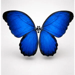 remote control flutter butterfly drone realistic flying toy with 2.4ghz control, rechargeable battery, for wedding surprise, party, indoor & outdoor play, great gift for kids and adults (blue)