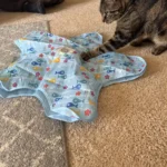 Huntpad Automatic Cat Toy photo review