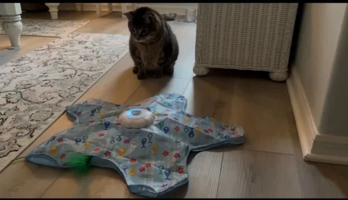 Huntpad Automatic Cat Toy photo review
